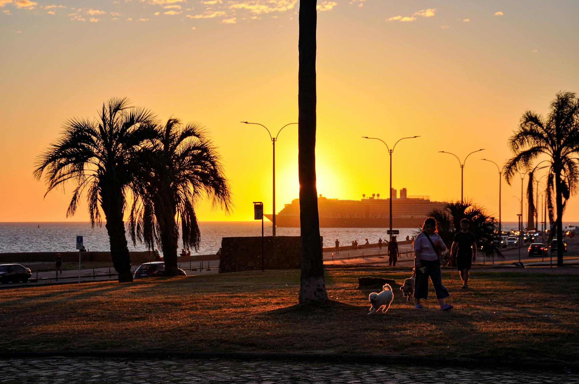 Spacerowicze wśród palm na tle zachodu słońca nad wodą