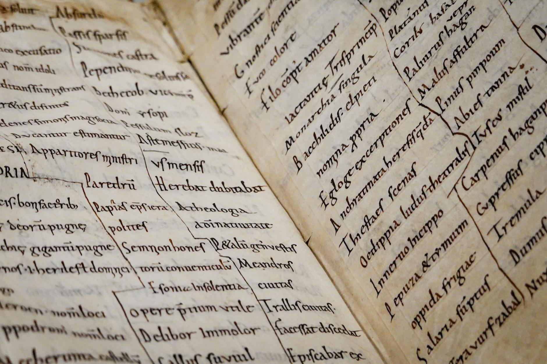 Zbliżenie na stary rękopis z łacińskim tekstem i kaligrafią
